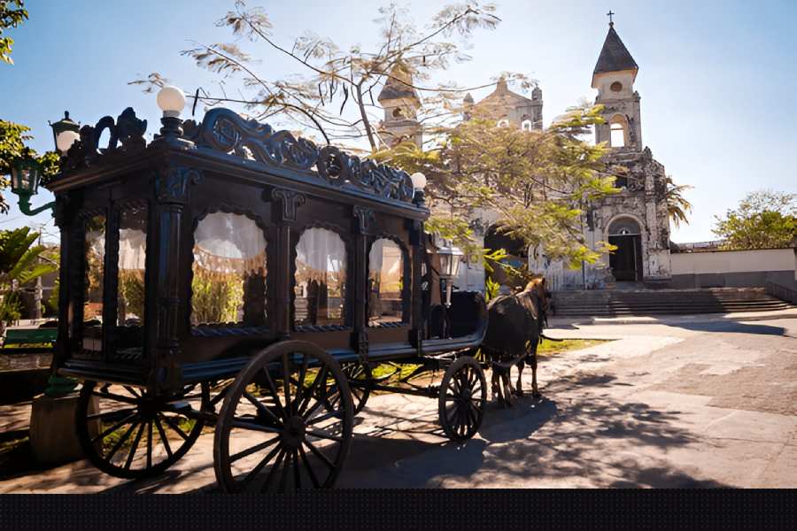 Horse and Carriage Horse and Carriage
