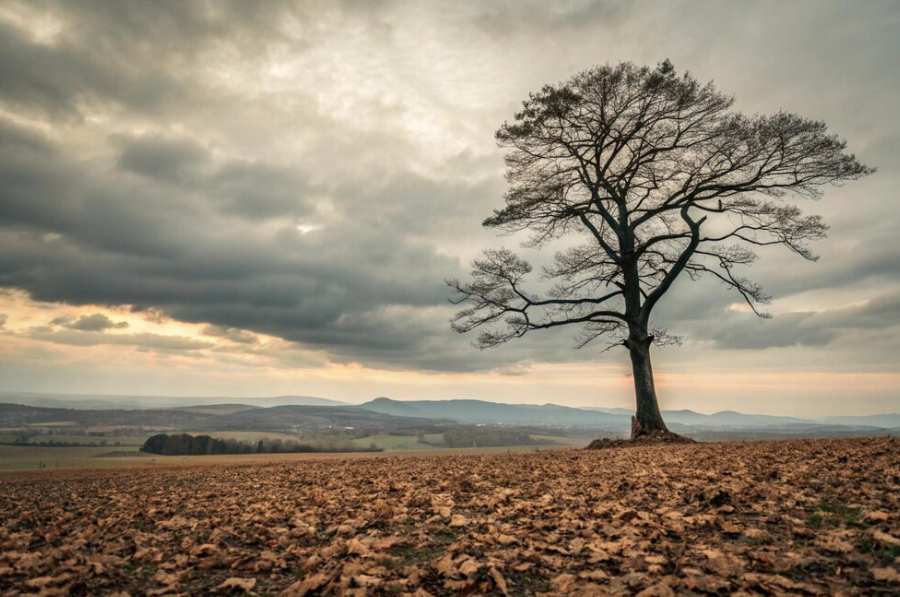 breathtaking-natural-landscapes-journey-through-natures-most-stunning-masterpieces
