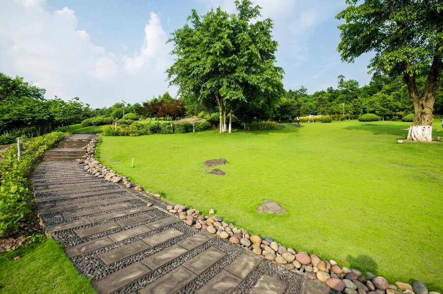 grassland-landscape-greening-environment-park