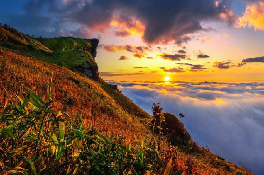 phu-chi-fa-mist-sunrise