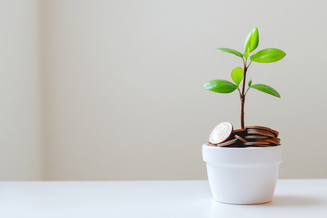 plant-growing