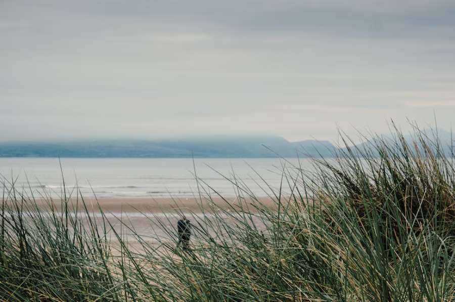 shot-from-beach-gloomy-day_