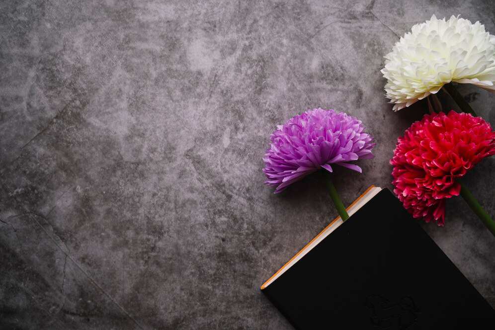 three-beautiful-flowers-with-closed-book three-beautiful-flowers-with-closed-book