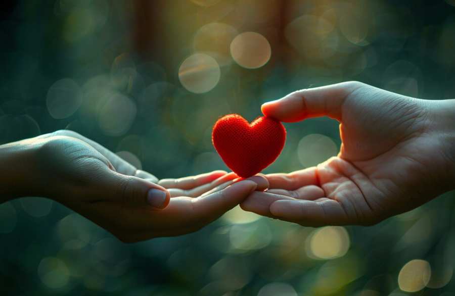 view-hands-with-heart-shape