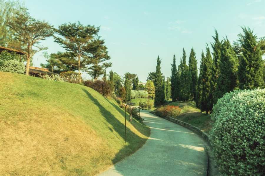 vintage-garden-nature-easter-light