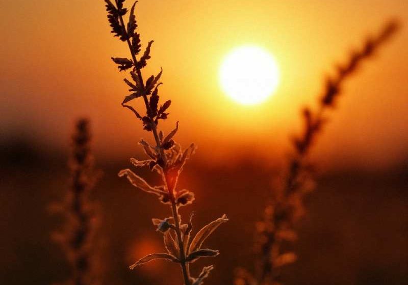 _beautiful-sunset-scene