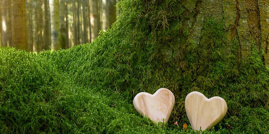funeral-wooden-heart-near-a-fir-spruce-tree-natural-burial-grave funeral-wooden-heart-near-a-fir-spruce-tree-natural-burial-grave